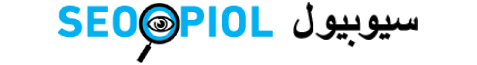 شركة سيو بيول لتصميم المواقع والتسويق الالكتروني